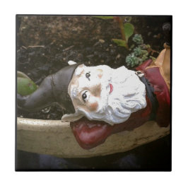 ジャストチリン、ガーデン格言 タイル