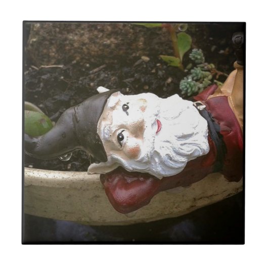 ジャストチリン、ガーデン格言 タイル (正面)