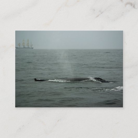 ジャストパスバイミニプリント 名刺 (正面)