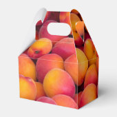 ジャストピーチ フェイバーボックス (裏面サイド)