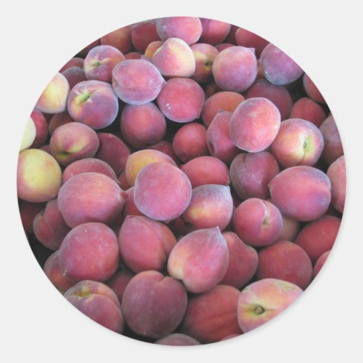 ジャストピーチ ラウンドシール (正面)