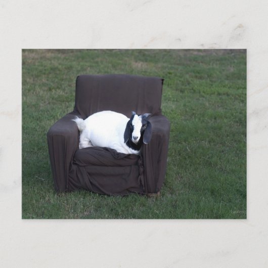 ジャストリラックス ポストカード (正面)