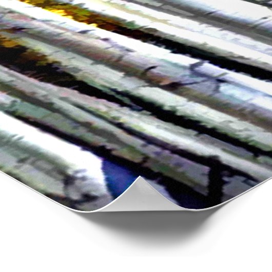 ジャスト樺の木会 ポスター (角)