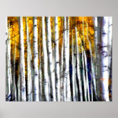 ジャスト樺の木会 ポスター (正面)