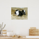 ジャスト生まれ ポスター (キッチン)