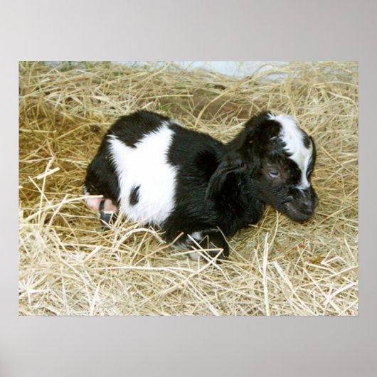 ジャスト生まれ ポスター (正面)