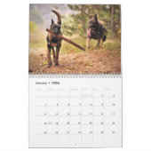 ジャスト・シェパード カレンダー (1月 2026)