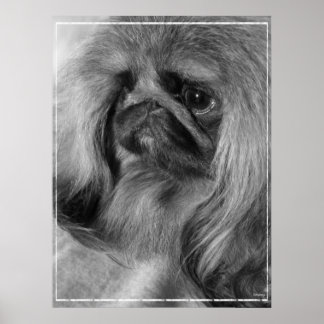 ジャスト・ジェロアン ポスター