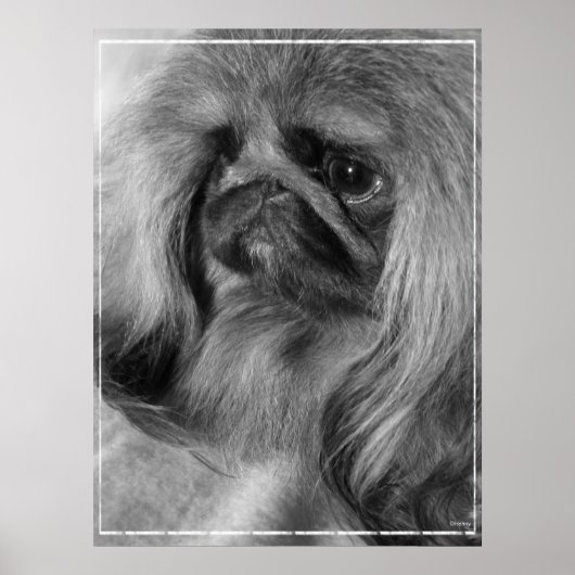 ジャスト・ジェロアン ポスター (正面)