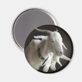 ジャスト・ビリー マグネット (正面/裏面)