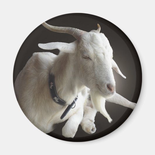 ジャスト・ビリー マグネット (正面)