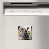 ジャスト・ホーシング・マのまわりにグネット マグネット (インサイチュ (食洗機))