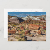 ジャスパーの森 ポストカード (正面/裏面)