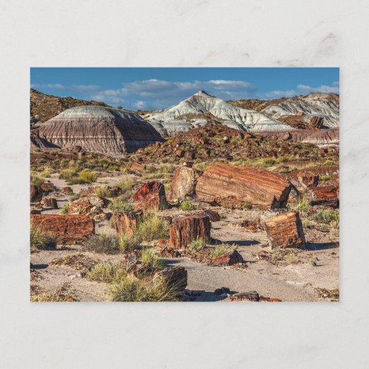 ジャスパーの森 ポストカード (正面)