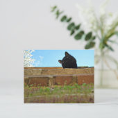 『ジャスパーの見張り葉書』 ポストカード (スタンド正面)