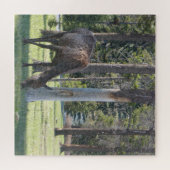 ジャスパー国立公園，アルバータカナダパズル ジグソーパズル (横)