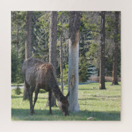 ジャスパー国立公園，アルバータカナダパズル ジグソーパズル