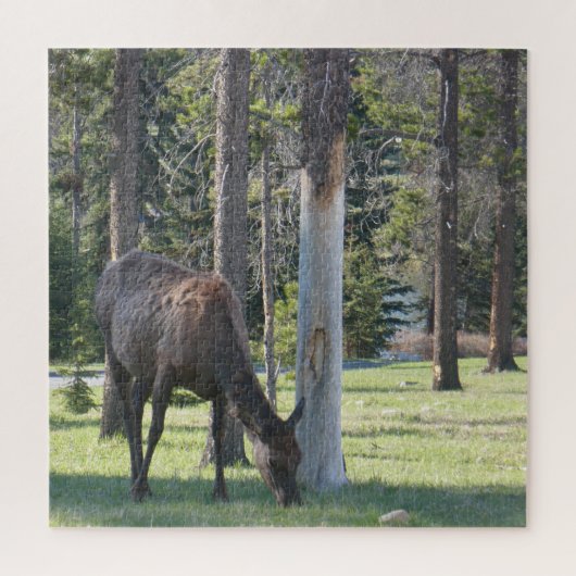 ジャスパー国立公園，アルバータカナダパズル ジグソーパズル (縦)