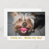 ジャスパー熱狂する~はがき ポストカード (正面/裏面)