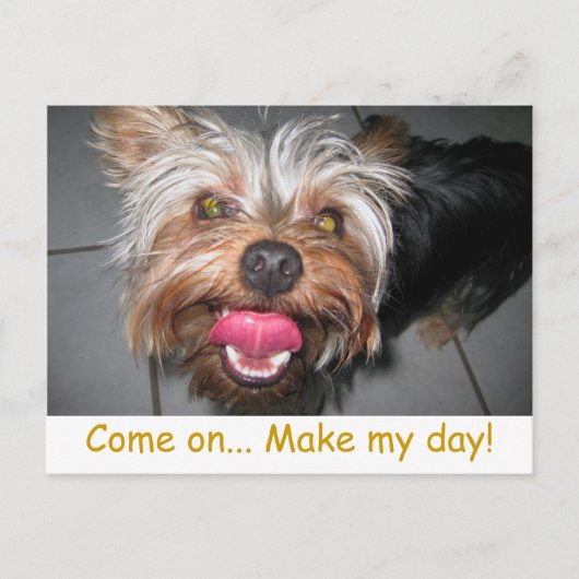 ジャスパー熱狂する~はがき ポストカード (正面)