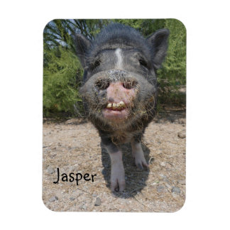 ジャスパー磁石 マグネット