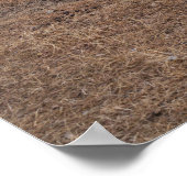 ジャスパー風光明媚な鉄道と雪の峰 ポスター (角)