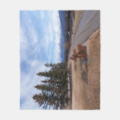 ジャスパー・アルベルタ列車と山の眺め フリースブランケット (正面)