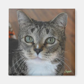 ジャスパー マグネット (正面)