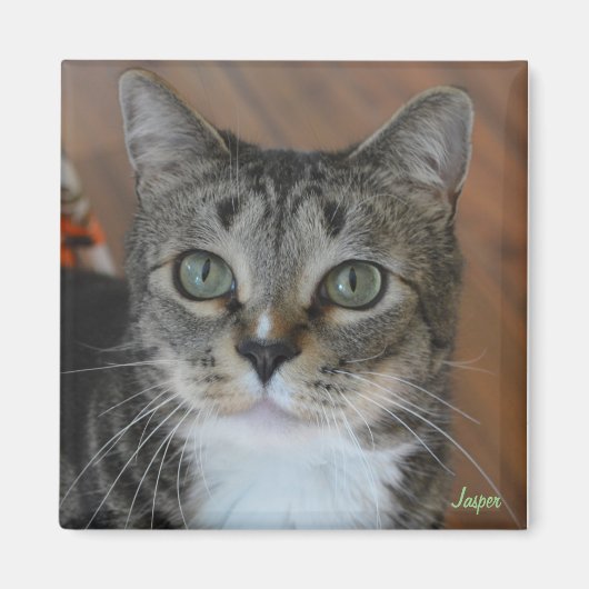 ジャスパー マグネット (正面)