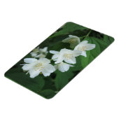 ジャスミンの写真の縦型Makeをパーソナライズされた置き換え マグネット (左側)