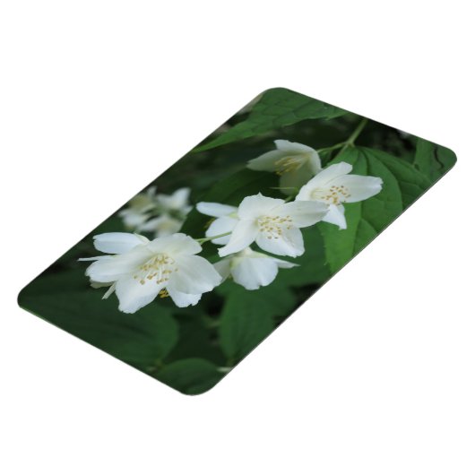 ジャスミンの写真の縦型Makeをパーソナライズされた置き換え マグネット (左側)