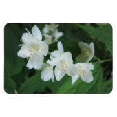 ジャスミンの写真の縦型Makeをパーソナライズされた置き換え マグネット (横)