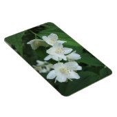 ジャスミンの写真の縦型Makeをパーソナライズされた置き換え マグネット (右側)