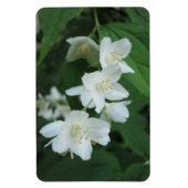 ジャスミンの写真の縦型Makeをパーソナライズされた置き換え マグネット (縦)