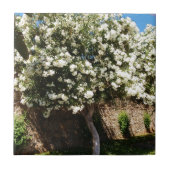 ジャスミンの木 タイル (正面)