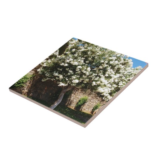 ジャスミンの木 タイル (側面)