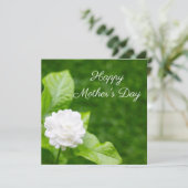 ジャスミンの花が緑の母の日 カード (スタンド正面)