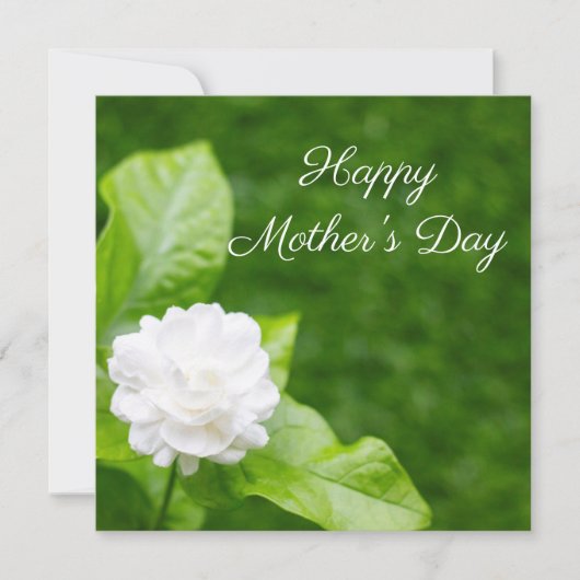 ジャスミンの花が緑の母の日 カード (正面)
