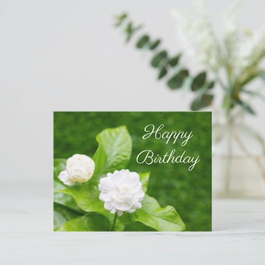 ジャスミンの花は緑の誕生日カードに載っている ポストカード (スタンド正面)