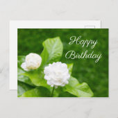 ジャスミンの花は緑の誕生日カードに載っている ポストカード (正面/裏面)