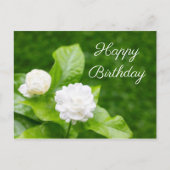 ジャスミンの花は緑の誕生日カードに載っている ポストカード (正面)
