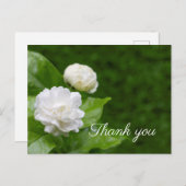 ジャスミンの花は緑色感謝していだ ポストカード (正面/裏面)