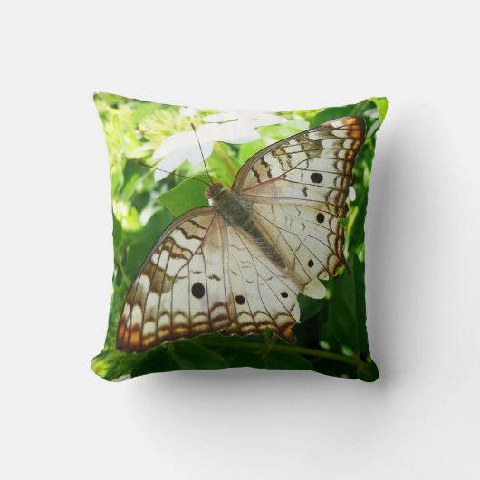 ジャスミンの蝶の熱帯自然 クッション (正面)