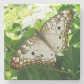 ジャスミンの蝶の熱帯自然 ストーンコースター (正面)