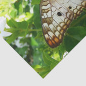 ジャスミンの蝶の熱帯自然 薄葉紙 (詳細)