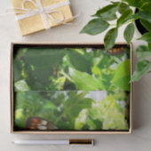 ジャスミンの蝶の熱帯自然 薄葉紙 (ギフト)