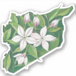 ジャスミンシリアの地図خريطة سوريا ياسمين シール