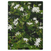 ジャスミンフラワートロピカルボタニカル クリップボード (裏面)