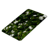 ジャスミンフラワートロピカルボタニカル マグネット (左側)