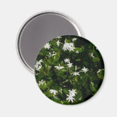 ジャスミンフラワートロピカルボタニカル マグネット (正面/裏面)